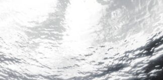 Classifica canzoni Kizomba giugno 2024, top hit del momento esme dame un chin